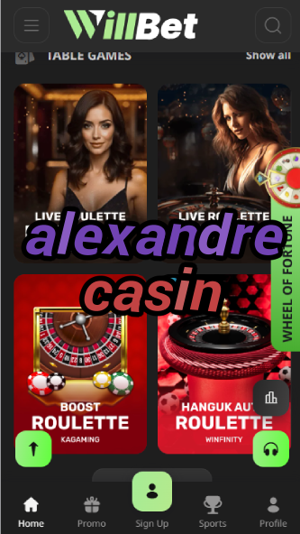 Alexandre Casin - French Casino Industry Expert-casinoorder.vip