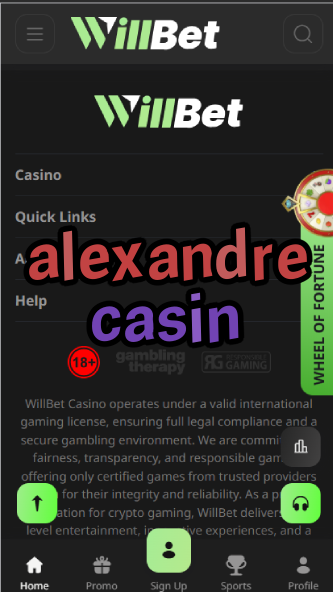 Alexandre Casin - French Casino Industry Expert-casinoorder.vip